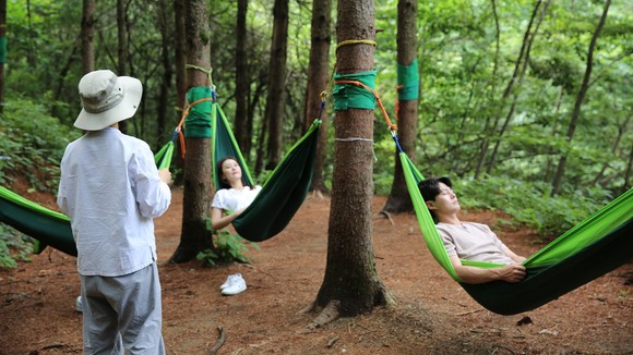 숲에안기다. ⓒ 산림청