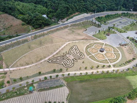 지난 6월경 조성을 완료한 '2021년 백운제 경관숲 조성사업' ⓒ 광양시