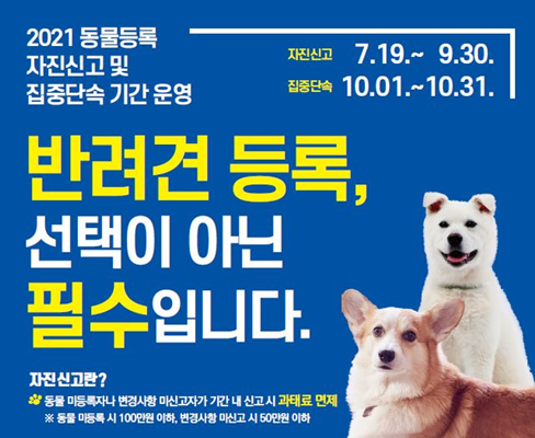 반려견 등록 자진신고 포스터. ⓒ 여수시