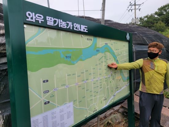 봉산면 와우리 '딸기생산농가 안내판'. ⓒ 담양군
