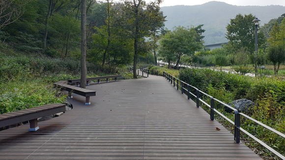 무궁화수목원 산책로. ⓒ 보령시