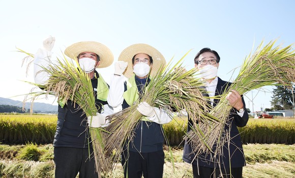 김동일 보령시장은 18일 남포면 양항리 남포간척지에서 벼 작황에 대한 평가 및 수확을 시연 후 기념촬영을 하고 있다. ⓒ 보령시