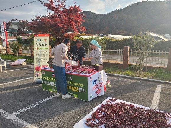 영양군(군수 오도창)은 우리 지역의 명품 고추(다복 고추, 사포닌 고추)를 롯데, 현대백화점에 입점했다. ⓒ 영양군청