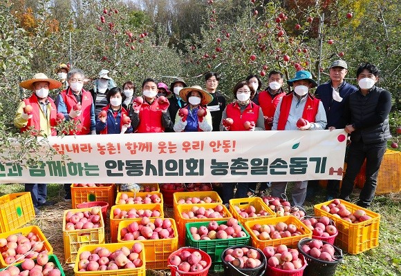 안동시의회(의장 김호석)는 지난 5일 관내 과수농가를 방문해 일손 돕기 봉사활동을 펼쳤다. ⓒ 안동시의회