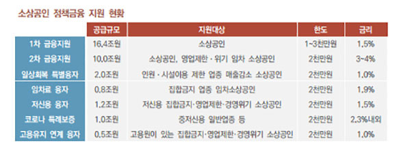 올해 소상공인 정책 관련으로 금융지원한 현황 자료다. ⓒ 기획재정부