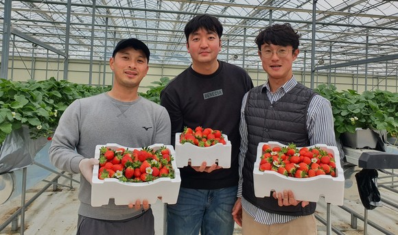 당진청농 청년농업인들(왼쪽부터 우민재, 공현, 최성원). ⓒ 당진시
