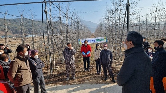 영양군 농업기술센터는 사과 과원 관리에 어려움이 많은 관내 농가를 위해 사과 수형 관리 현장 교육을 10일 실시했다. ⓒ 영양군