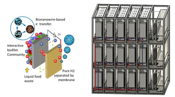 바이오 그린수소 생산기술 모식도. © 코오롱글로벌