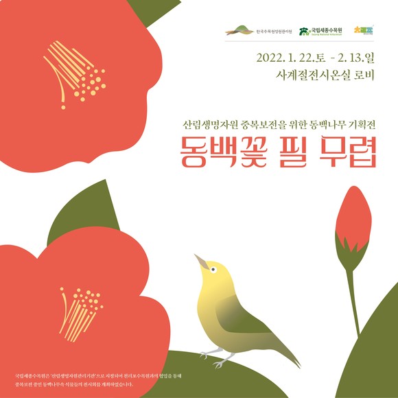 동백나무 기획전 포스터. ⓒ 국립세종수목원