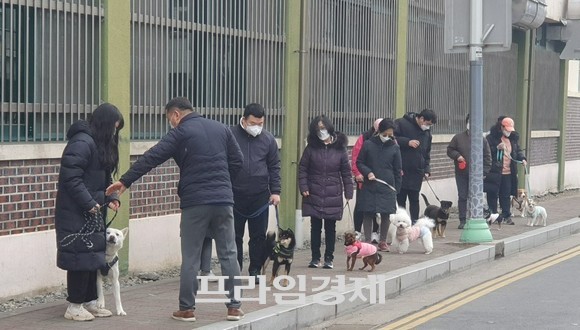 지난 19일 이웅종 연암대학교와 보령시 반려견협회가 펫티켓 매너를 지키는 올바른 산책 활동을 하고 있다. ⓒ 프라임경제