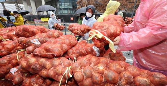 29일 농림축산식품부(농식품부)는 양파 수급 안정대책추진에도 불구하고 양파가격이 회복되지 않아 추가 대책을 내놨다. ⓒ 농림축산식품부