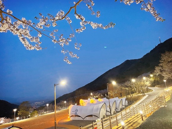 월아산 자연휴양림 글램핑 야경. ⓒ 프라임경제