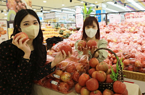 롯데마트가 첨단 저장 방식을 사용해 21년 가을 갓 수확한 사과의 아삭함을 그대로 간직한 'CA 저장 사과'를 판매한다. © 롯데마트