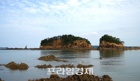 장고도 섬. ⓒ 프라임경제