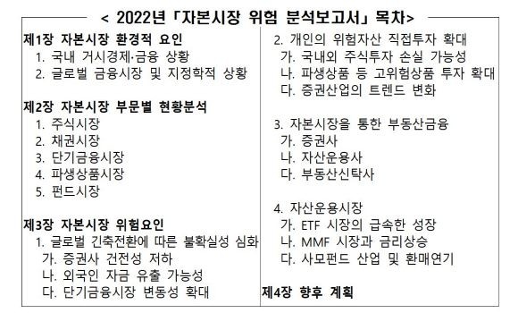 올해 금감원의 자본시장 위험 분석보고서 목차. ⓒ 금융감독원