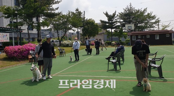 '펫티켓' 산책 실습 교육과정 모습. ⓒ 프라임경제
