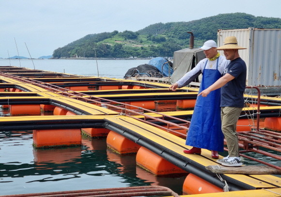 롯데마트가 시세보다 30% 이상 저렴한 우럭 물량을 확보하고 오는 9일부터 15일까지 우럭 상품 할인 행사를 진행한다. © 롯데마트