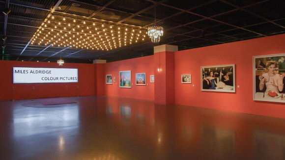 티몬의 라이브커머스 '티비온'과 전시전문기획사 씨씨오씨가 8일 저녁 7시 '슬기로운 전시생활' 쇼핑 라이브를 진행한다. © 티몬