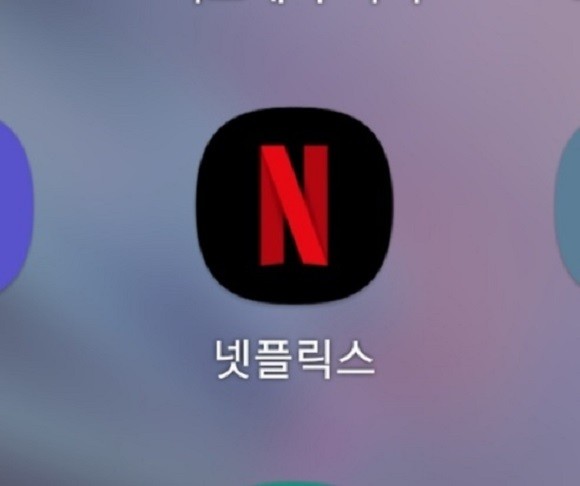 망 이용대가를 받기 위해 넷플릭스와 3년째 소송 중인 SK브로드밴드 측 입장이 타당하다는 국내외 네트워크 전문가들의 견해가 나왔다. = 이인애 기자