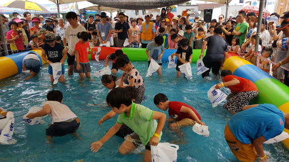 삼천포항 자연산 전어축제 맨손전어잡기 체험. ⓒ 사천시