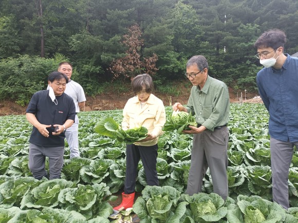 한국농수산식품유통공사가 기상악화로 인한 농산물 수급불안에 선제 대비에 나선다. ⓒ 한국농수산식품유통공사