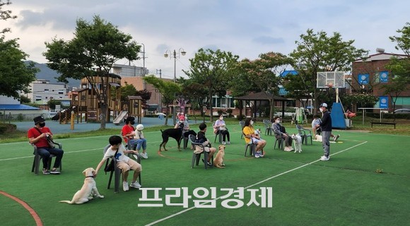 반려견과 함께하는 올바른 산책 문제행동 교육 모습. ⓒ 프라임경제