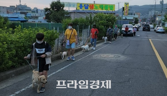 지난 25일 반려견과 함께 집 밖으로 나가서 동네 한 바퀴를 도는 산책 활동 모습. ⓒ 프라임경제