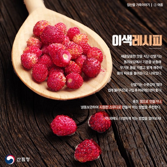 임산물 가족 이야기-산딸기. ⓒ 산림청