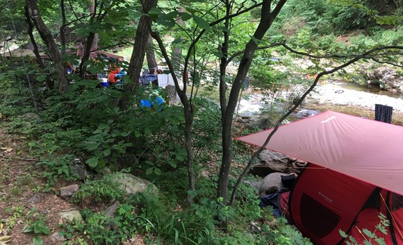 산간 계곡 내 불법 시설물 및 취사 행위 및 쓰레기 투기 등 중점 단속. ⓒ 산림청