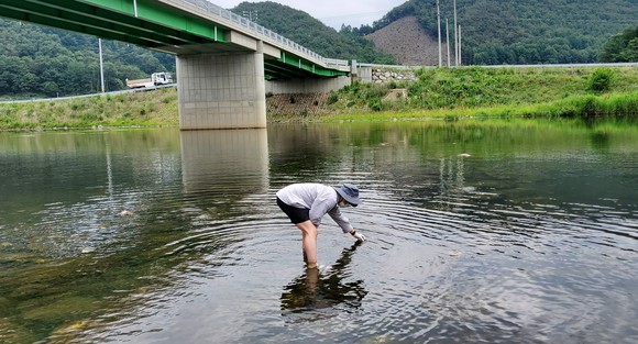 물놀이지역 수질조사 시료채취 모습. ⓒ 청주시