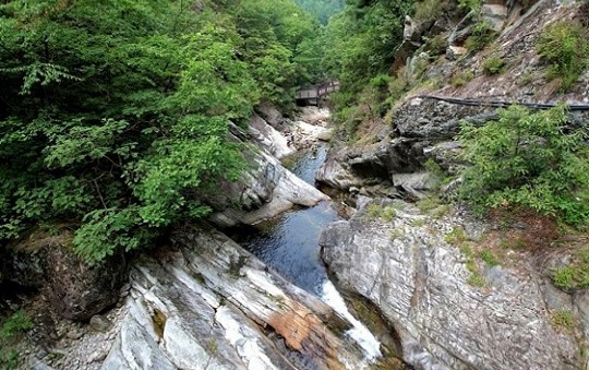 국유림 명품숲(소백산 천동계곡 숲). ⓒ 산림청