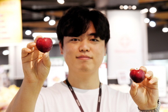 홈플러스는 1년에 7월 한달 동안에만 맛볼 수 있는 희귀품종 '체리자두'를 국내 오프라인 대형마트 단독으로 선보인다. © 홈플러스