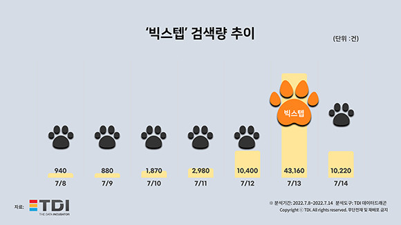 빅스텝 검색량 추이 분석 통계자료. ⓒ TDI