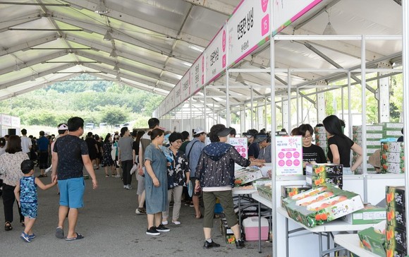 2019년 제20회 조치원복숭아축제장 모습. ⓒ 세종시