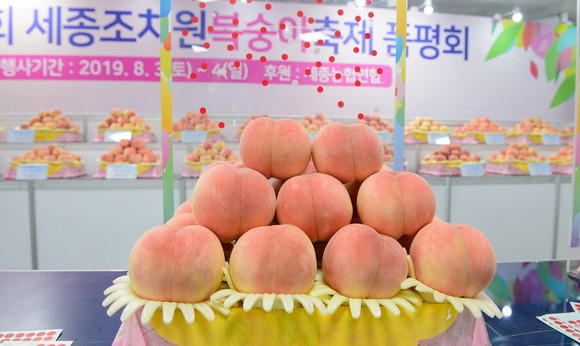 2019년 조치원복숭아축제장 모습. ⓒ 세종시