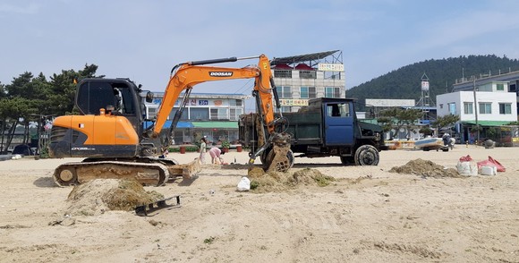 괭생이모자반 처리 모습(근흥면 연포). ⓒ 태안군