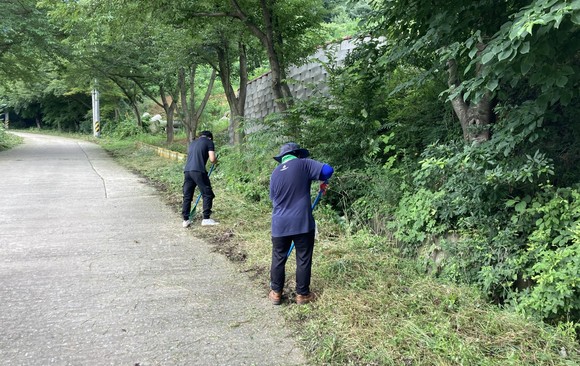 25일 오서산 등산로 정비작업 모습. ⓒ 홍성군