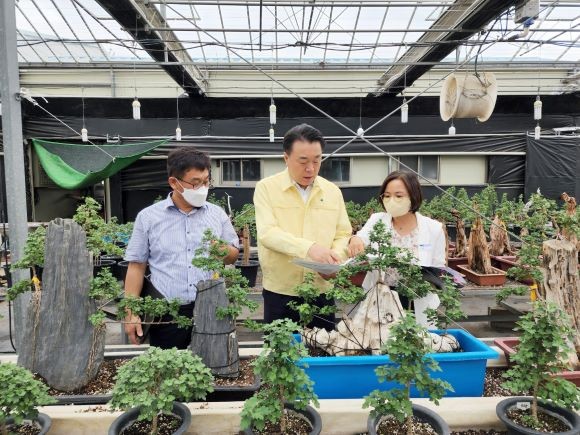 구복규 화순군수가 지난달 30일 남산공원과 화순군농업기술센터 작물육묘장을 찾아 국화향연 준비 사항을 점검하고 있다. ⓒ 화순군