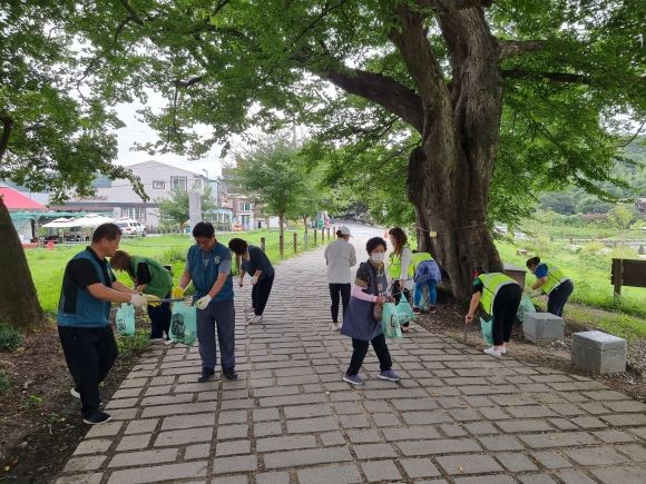 담양군 자원봉사센터 관계자들이 관방제림 일대에서 환경정화 활동을 펼치고 있다. ⓒ 담양군