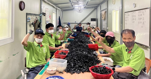 금산인삼축제 티셔츠를 입은 자활근로 참여 주민들이 모습. ⓒ 금산군