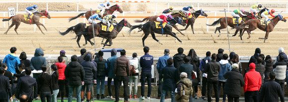 한국마사회 측은 최소한의 공정과 상식을 저버린 인사 시스템을 운용하고 있다는 지적이 사실과 다르다고 주장했다. ⓒ 연합뉴스