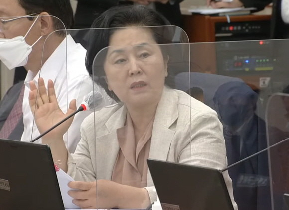 김영선 국민의힘 의원은 5일 국정감사에서 상속세율 개편을 주장했다. ⓒ 김영선 국민의힘 의원실