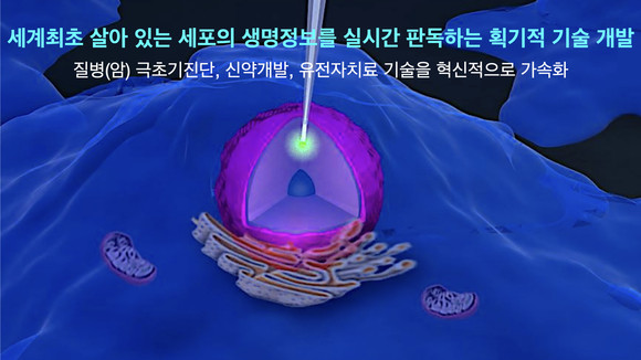 세계최초 살아있는 세포의 생명정보 실시간 판독 기술 개발 예상도. ⓒ 프라임경제