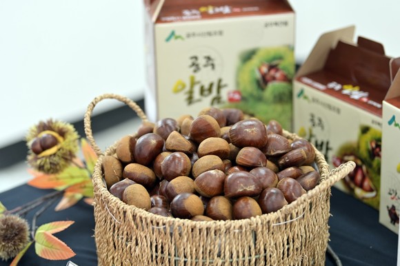 고향사랑기부제 답레품(공주알밤). ⓒ 공주시