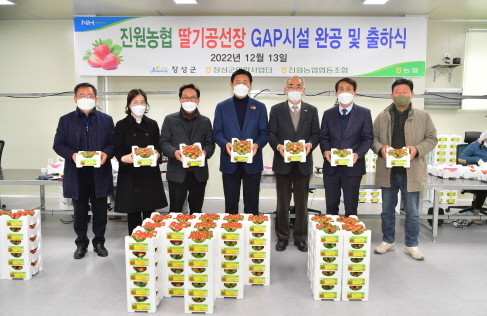 장성군은 최근 진원농협 산지유통센터에서 딸기 공선회 출하식을 가졌다. ⓒ 장성군