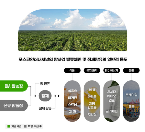 팜 사업 밸류체인 및 정제팜유 용도. ⓒ 포스코인터내셔널