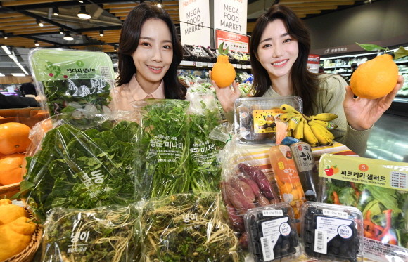 홈플러스가 오는 22일까지 한 발 앞선 봄맞이 먹거리 할인전 '봄 내음 가득, 미리 담아 봄'을 진행한다. © 홈플러스