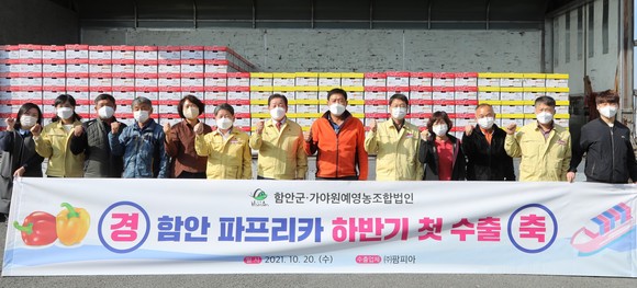 함안군이 파프리카를 수출하고 있다. ⓒ 프라임경제
