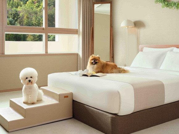 반려동물과 함께 숙박할 수 있는 펫 객실. © 한화호텔앤드리조트
