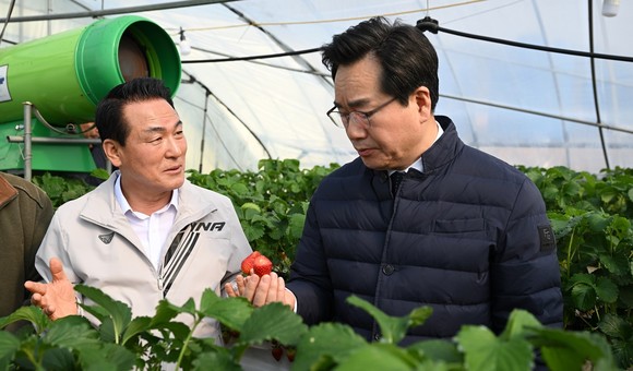 딸기 농가를 시찰 중인 정황근 농림축산식품부장관과 백성현 논산시장. ⓒ 논산시